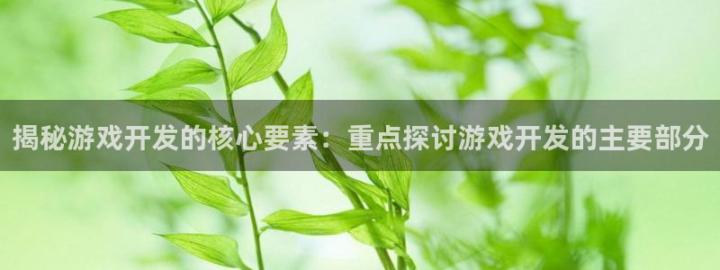 揭秘游戏开发的核心要素：重点探讨游戏开发