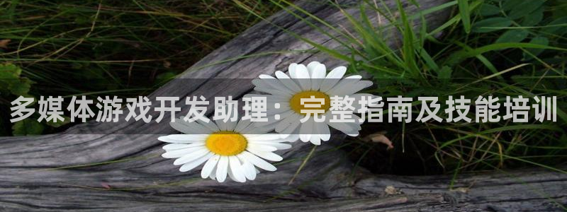 多媒体游戏开发助理：完整指南及技能培训