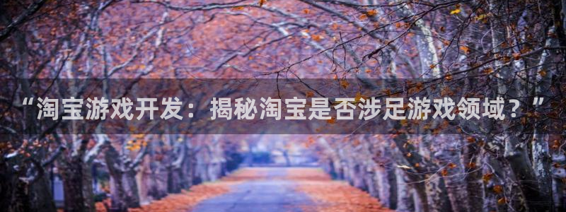 “淘宝游戏开发：揭秘淘宝是否涉足游戏领域