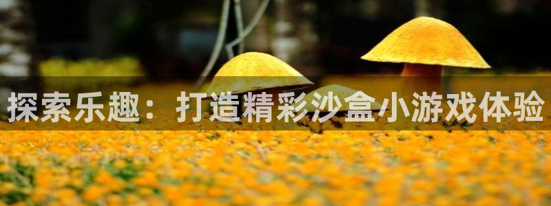 探索乐趣：打造精彩沙盒小游戏体验