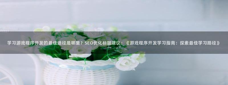 学习游戏程序开发的最佳途径是哪里？SEO