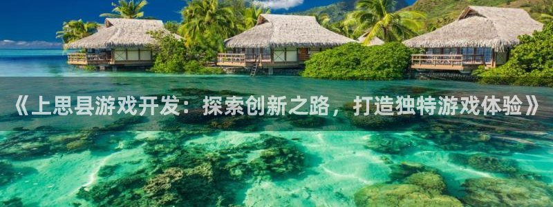 《上思县游戏开发：探索创新之路，打造独特