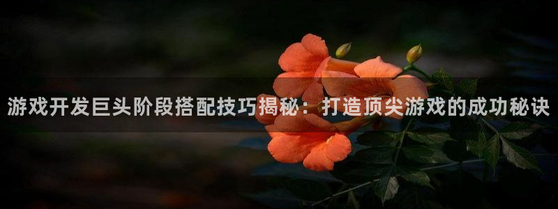 沐鸣科技：游戏开发巨头阶段搭配技巧揭秘：
