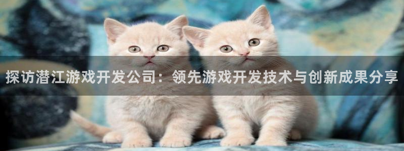 沐鸣娱乐是真的吗：探访潜江游戏开发公司：