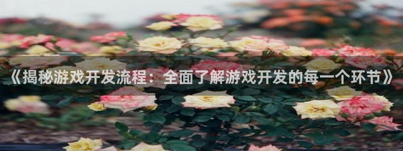沐鸣平台官网登录：《揭秘游戏开发流程：全