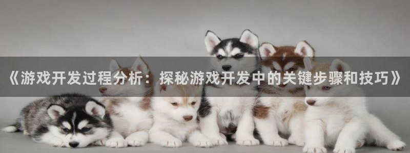 沐鸣娱乐注册平台：《游戏开发过程分析：探