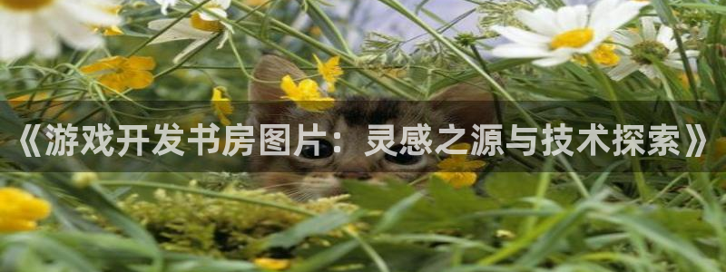 沐鸣3注册登录：《游戏开发书房图片：灵感