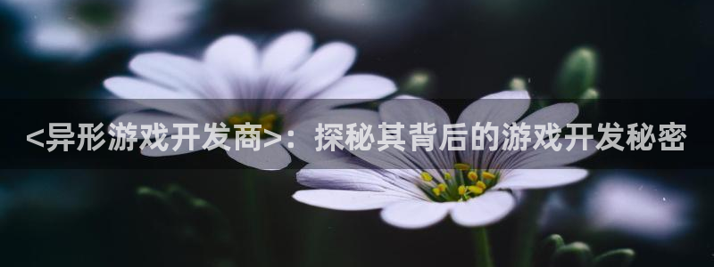沐鸣科技有哪些产品啊：<异形游戏开发商>