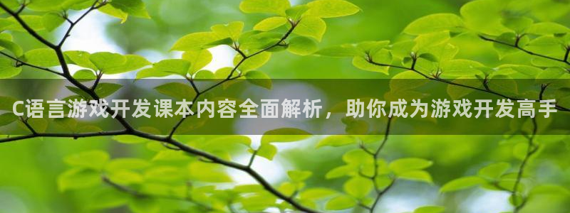 沐鸣娱乐官方网站入口：C语言游戏开发课本