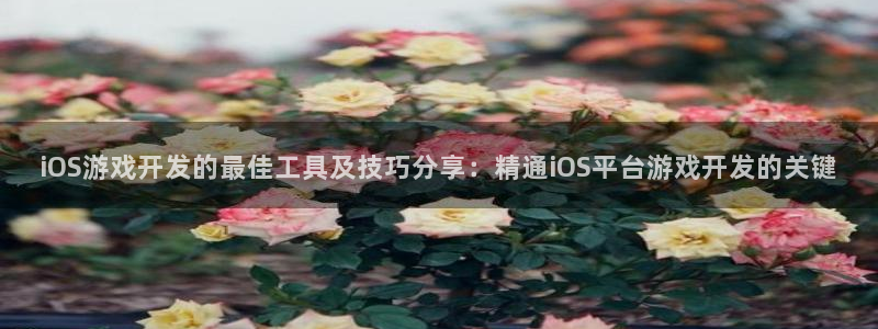 沐鸣平台是黑平台吗知乎：iOS游戏开发的