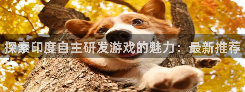 沐鸣注册网站是什么：探索印度自主研发游戏