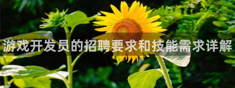 沐鸣注册登录：游戏开发员的招聘要求和技能