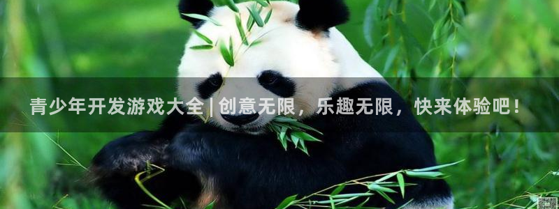 沐鸣平台注册资金多少亿：青少年开发游戏大