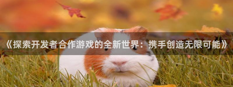 沐鸣平台主管：《探索开发者合作游戏的全新