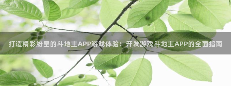 沐鸣科技做的游戏叫什么：打造精彩纷呈的斗