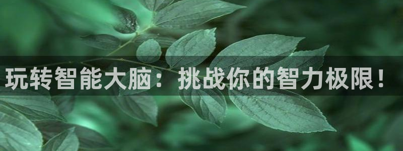 沐鸣注册网站：玩转智能大脑：挑战你的智力