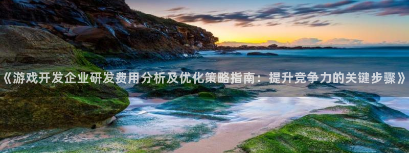 沐鸣娱乐注册平台官网：《游戏开发企业研发