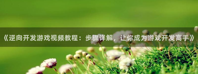 沐鸣平台总代理：《逆向开发游戏视频教程：
