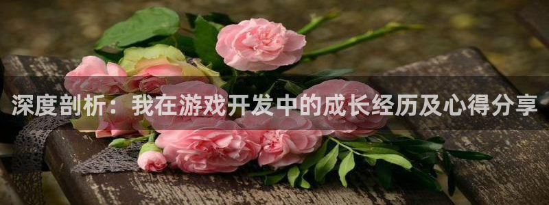 沐鸣娱乐代理是谁：深度剖析：我在游戏开发