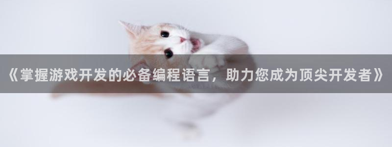 沐鸣官方注册登录：《掌握游戏开发的必备编