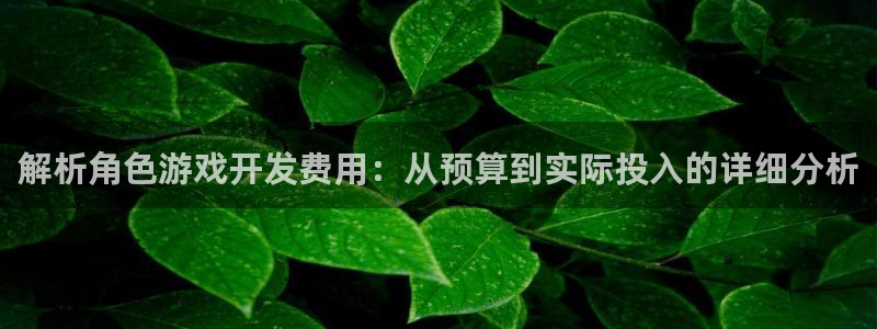 沐鸣娱乐股东：解析角色游戏开发费用：从预
