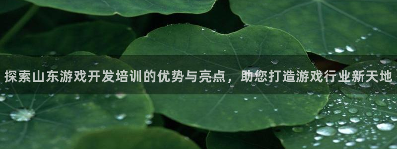 沐鸣平台代理注册多少钱：探索山东游戏开发