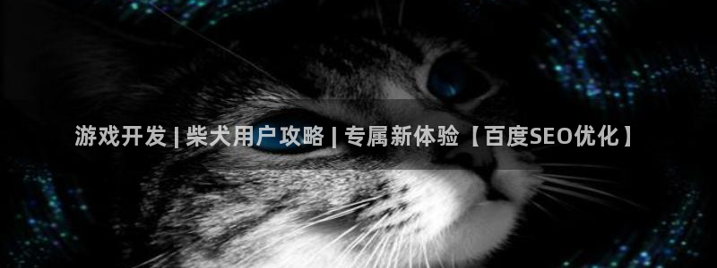 沐鸣娱乐游戏：游戏开发 | 柴犬用户攻略