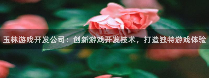 沐鸣注册问一问：玉林游戏开发公司：创新游