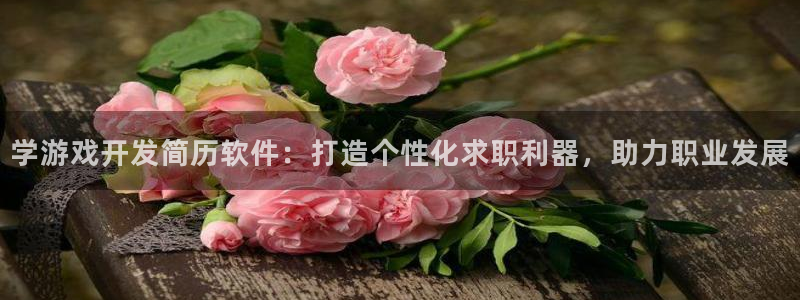 沐鸣娱乐平台登录不上：学游戏开发简历软件