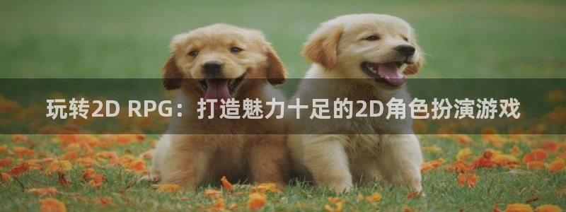 沐鸣注册官方登录app：玩转2D RPG