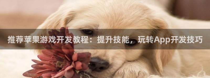 沐鸣平台：推荐苹果游戏开发教程：提升技能