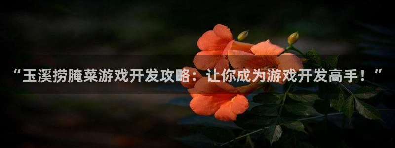 沐鸣科技做的游戏：“玉溪捞腌菜游戏开发攻