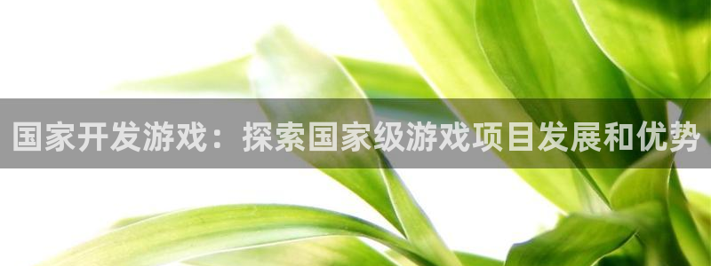 沐鸣娱乐官方平台怎么样：国家开发游戏：探