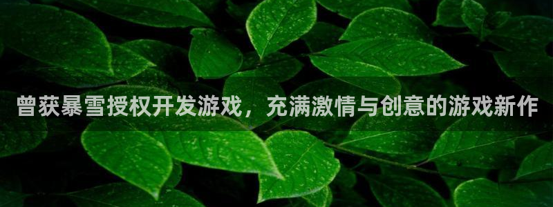 沐鸣平台官方网站：曾获暴雪授权开发游戏，