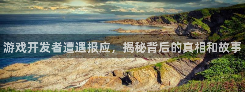 沐鸣3注册代理：游戏开发者遭遇报应，揭秘
