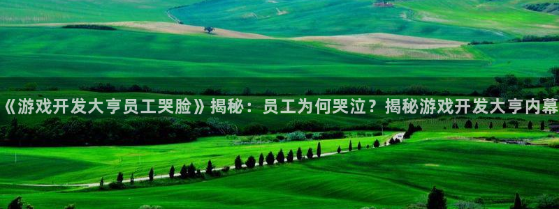 沐鸣娱乐为什么上不去了：《游戏开发大亨员