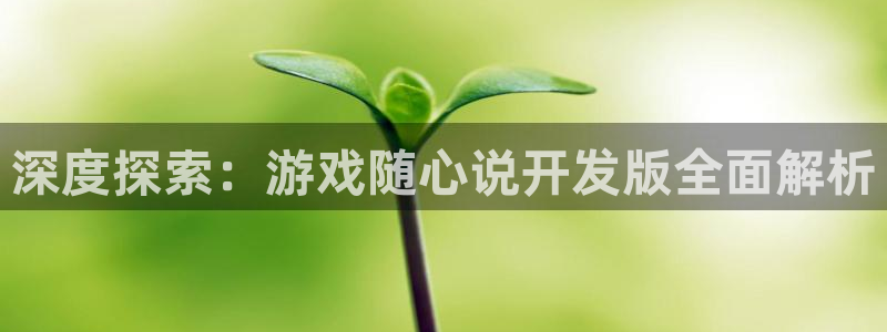 沐鸣平台招商怎么样：深度探索：游戏随心说