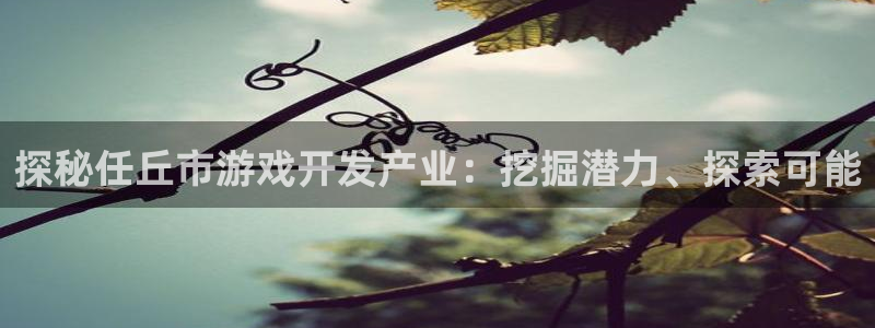 沐鸣娱乐平台登录入口下载安卓：探秘任丘市
