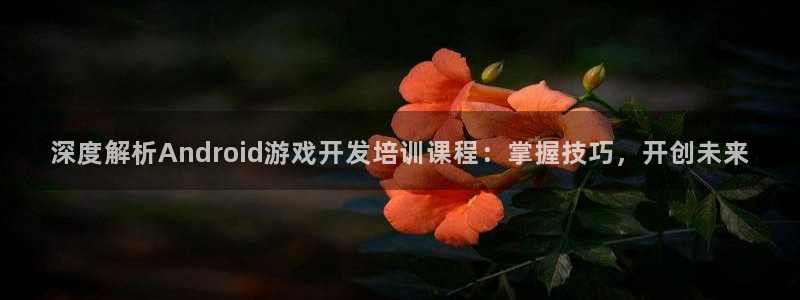 沐鸣1登陆：深度解析Android游戏开