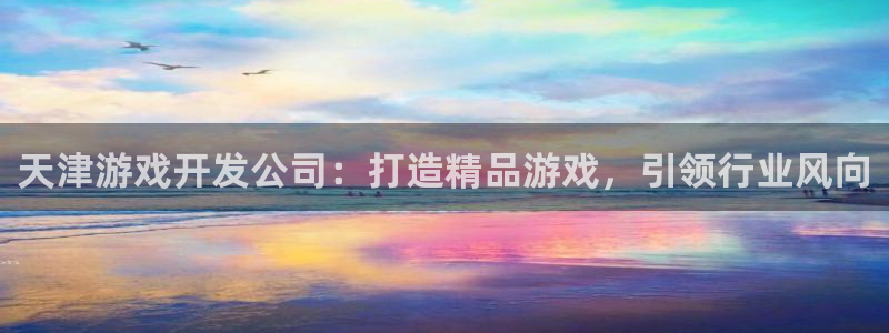 沐鸣注册入口：天津游戏开发公司：打造精品