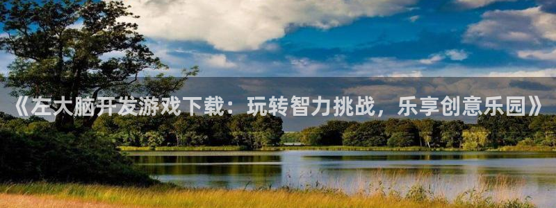 沐鸣app：《左大脑开发游戏下载：玩转智