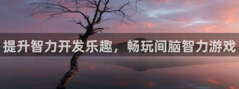 沐鸣娱乐平台反点：提升智力开发乐趣，畅玩