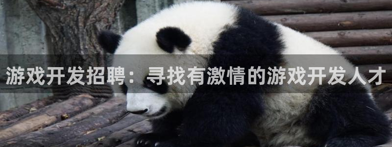 沐鸣平台总代理是谁：游戏开发招聘：寻找有