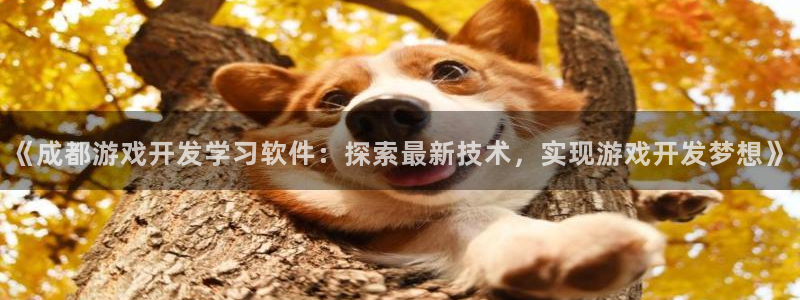 沐鸣娱乐注册登录平台入口：《成都游戏开发