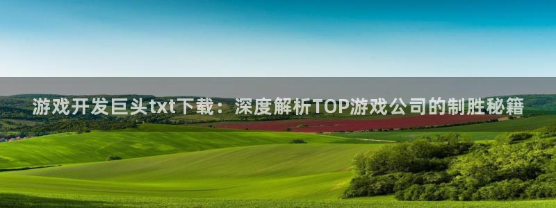 沐鸣娱乐注册平台是什么：游戏开发巨头tx