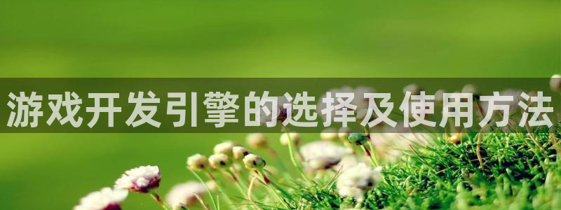 沐鸣3注册登录：游戏开发引擎的选择及使用