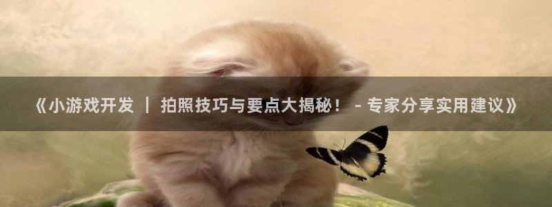 沐鸣注册登录：《小游戏开发 ｜ 拍照技巧