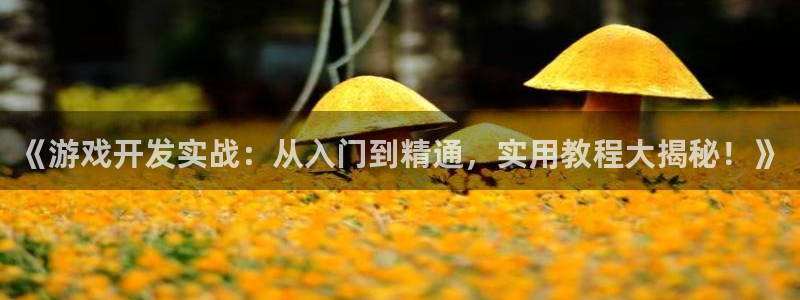 沐鸣娱乐平台反点：《游戏开发实战：从入门