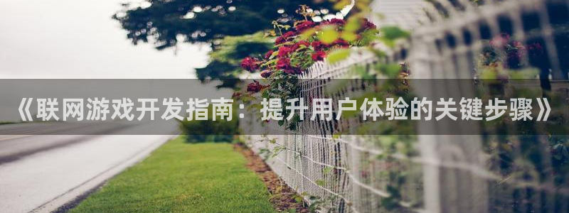 沐鸣娱乐怎么注册：《联网游戏开发指南：提