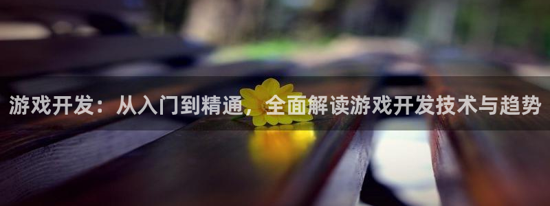 沐鸣文化传媒有限公司：游戏开发：从入门到